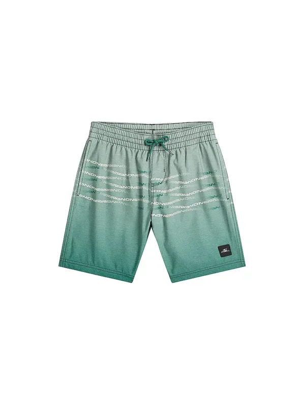 O'NEILLJungen Badeshorts First Echt
