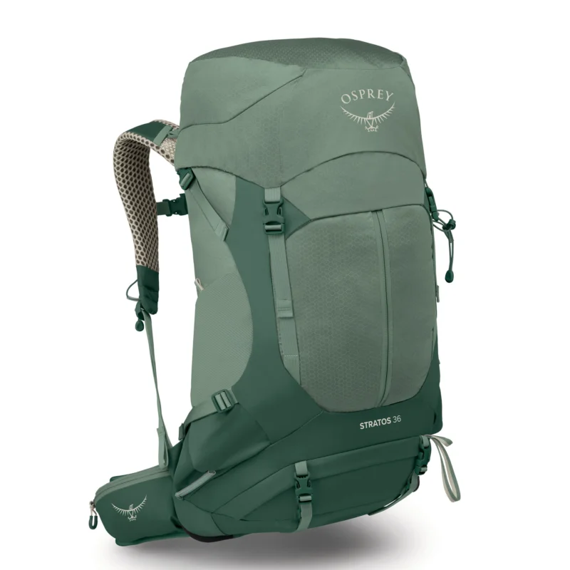 Osprey Stratos 36 Wanderrucksack pine leaf green Preis Gesenkt