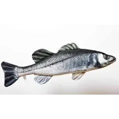 Fischkissen Wolfsbarsch 70cm Expressversand