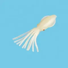 Squid grün luminous Markenware