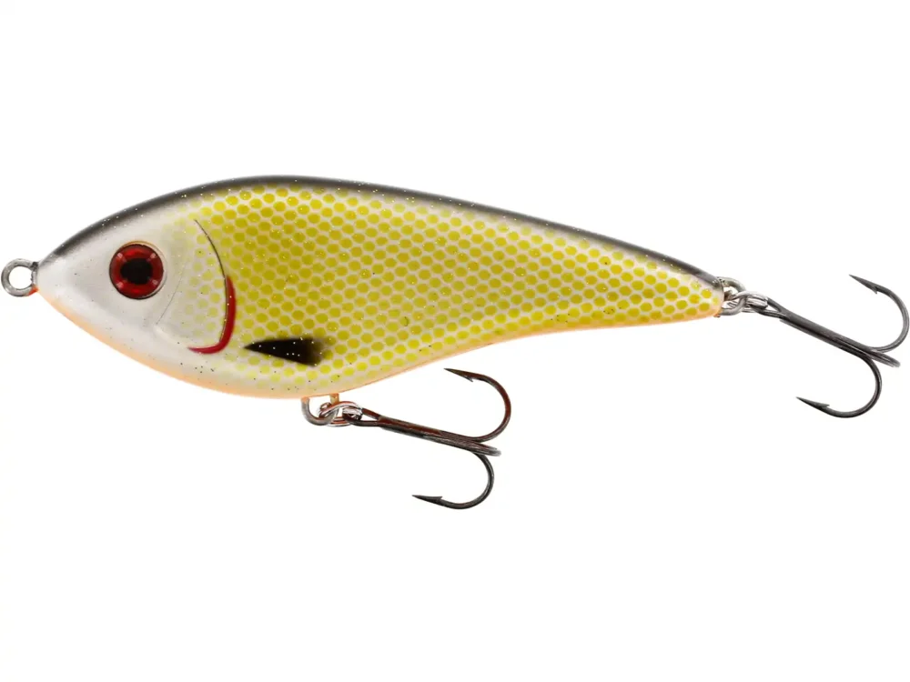 Westin Swim SP 15cm Official Roach Sonderaktion