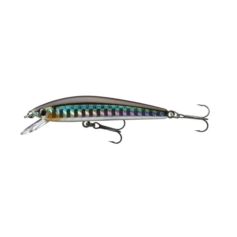 Daiwa Tournament Baby Minnow 60SP Kibinago Letzte Chance