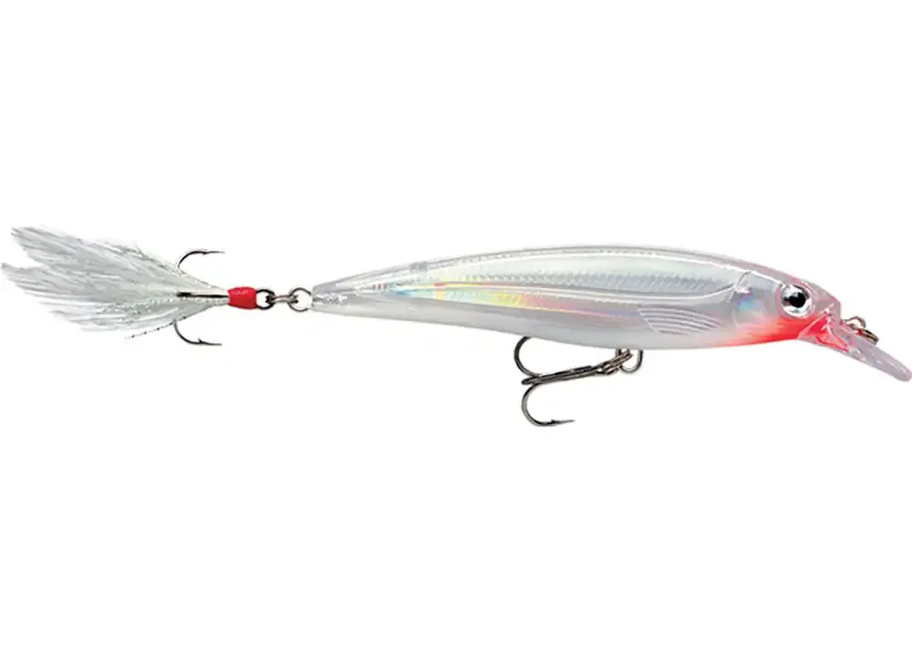 Zertifiziert Rapala X-Rap 8cm Glass Ghost