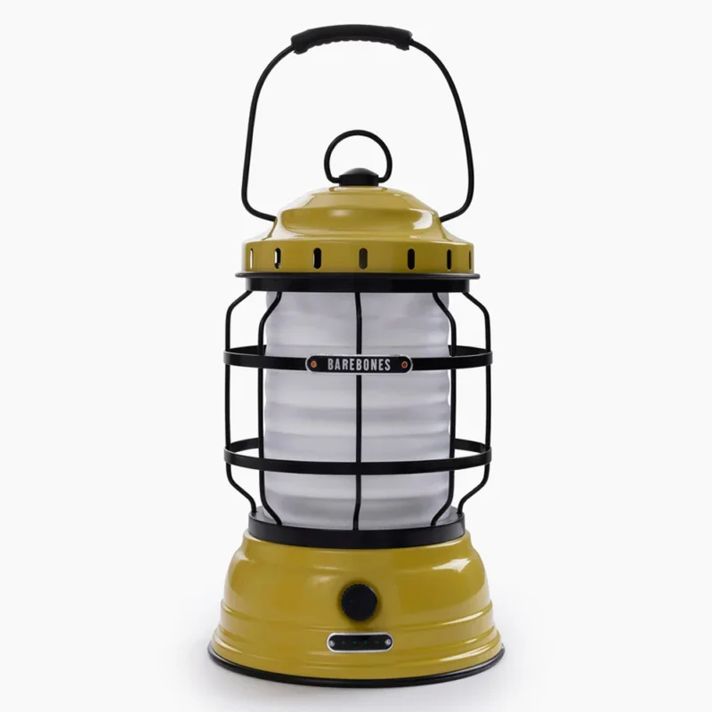 Forest Lantern Letzte Chance