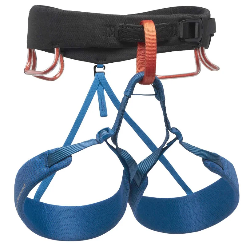Momentum Harness Nur Für Kurze Zeit